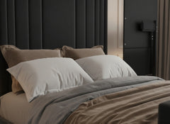 Montera Comfort TV Bed